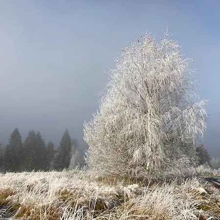 Hajovna Lipno