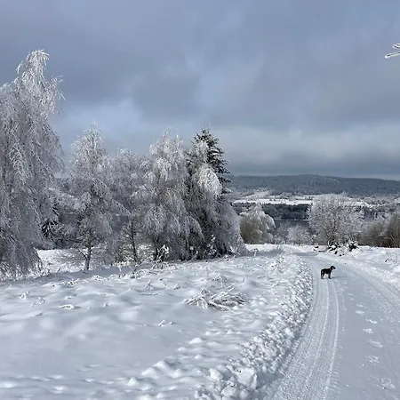 Hajovna Lipno アパート Loučovice