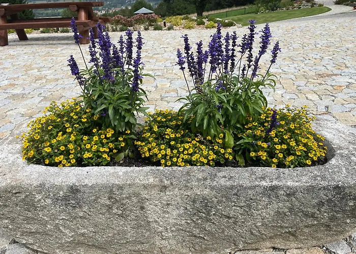 Hájovna Lipno Apartmán