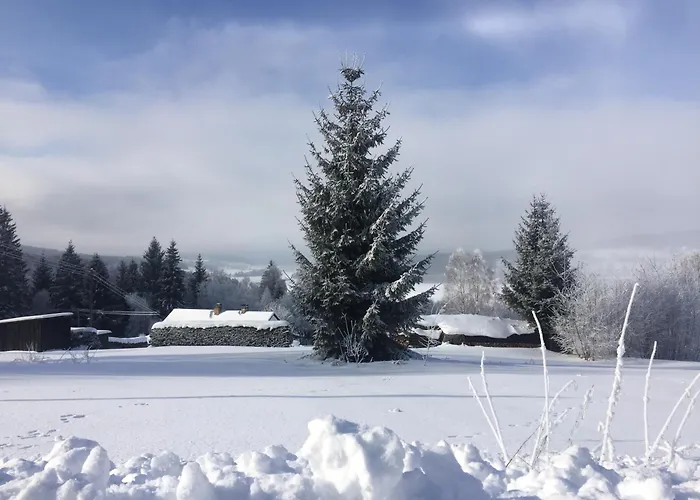 Apartmán Hájovna Lipno