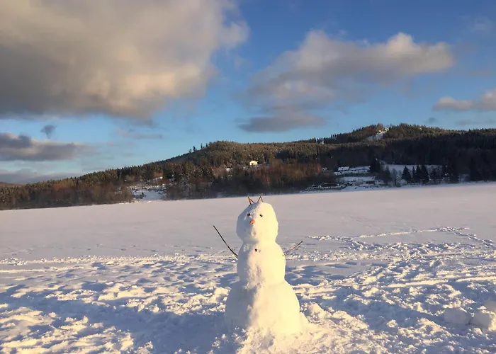 Hájovna Lipno Apartmán Loučovice