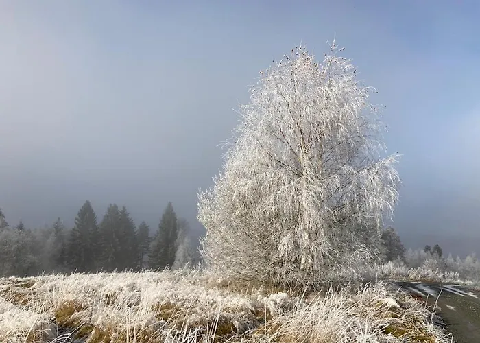 Hájovna Lipno