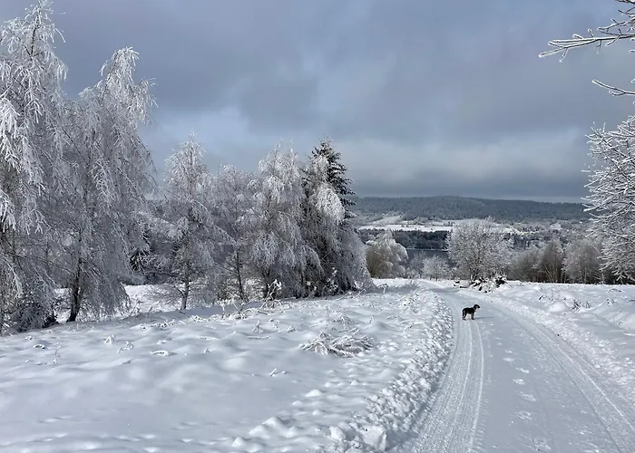 Hájovna Lipno Apartmán Loučovice