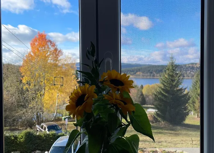 Apartmán Hájovna Lipno